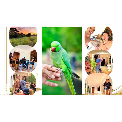 Grand Refuge wilpathu safari Home made foods Bikes Bicycles Tuk tuk Bird view Lake jogging