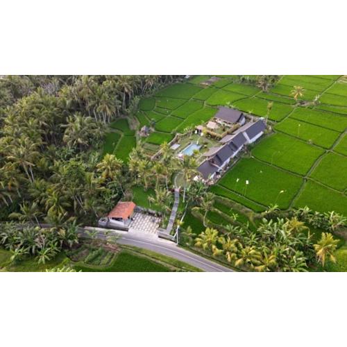 Green Coconut Cottage