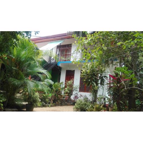 Green Garden Homestay