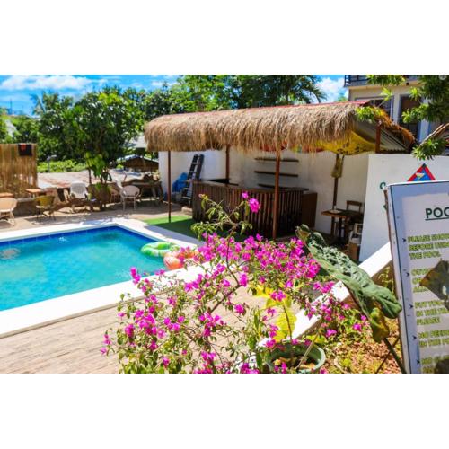 Green Gecko Pool Hostel and 3 Day Expedtion
