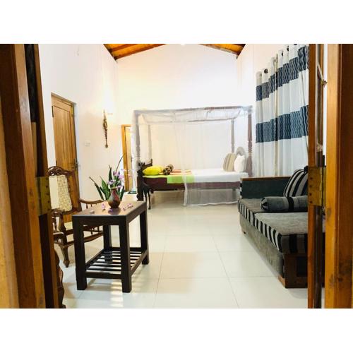 Green heaven Hikkaduwa