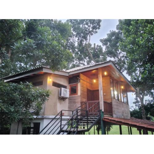 Green Herbal Ayurvedic Eco-Chalets