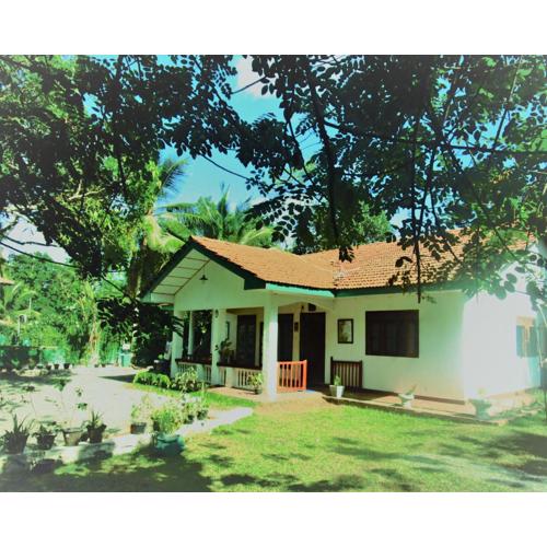 Green Herbal Ayurvedic Eco-Lodge