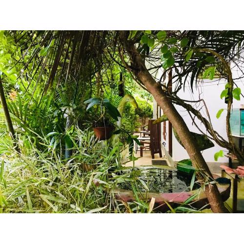 Green jade Inn Mirissa