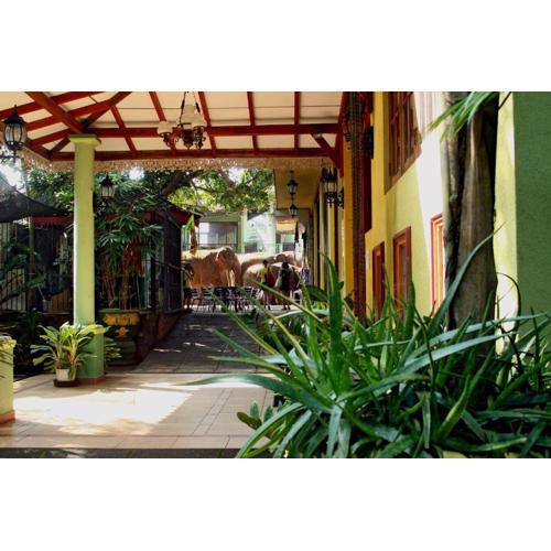 Green Land Guest House