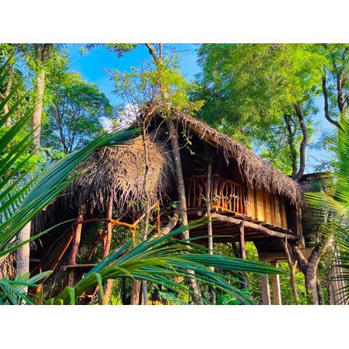 Green land tree house sigiriya