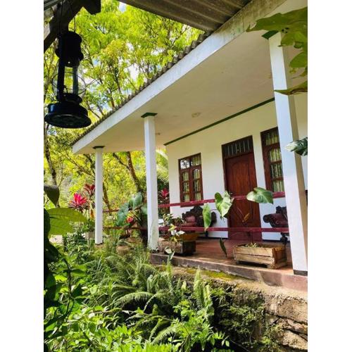 Green Leaf Holiday Bungalow