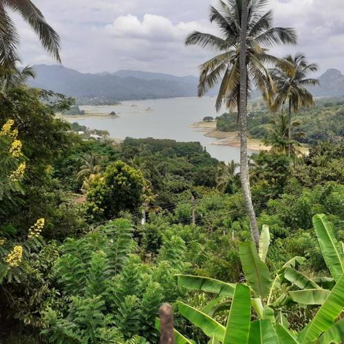 Green Nature Villa kandy