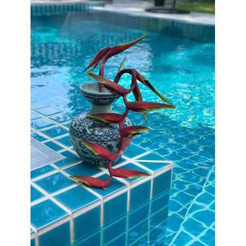 Green orchid Apartment