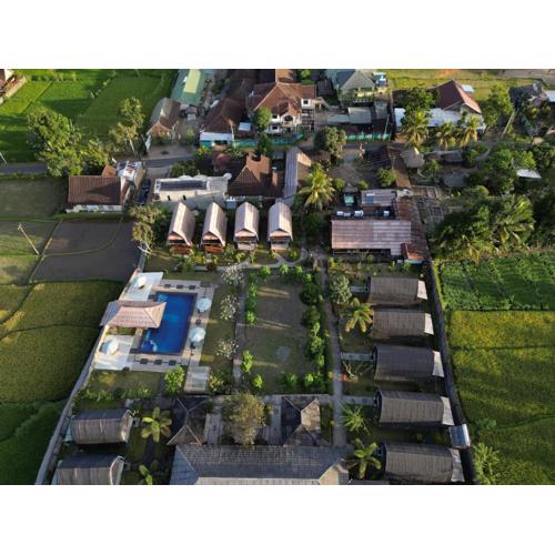 Green Orry Inn Tetebatu