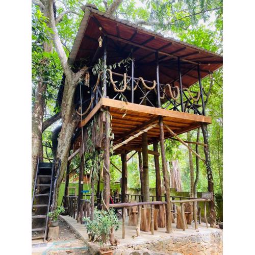 Green Park and Eco Tree House