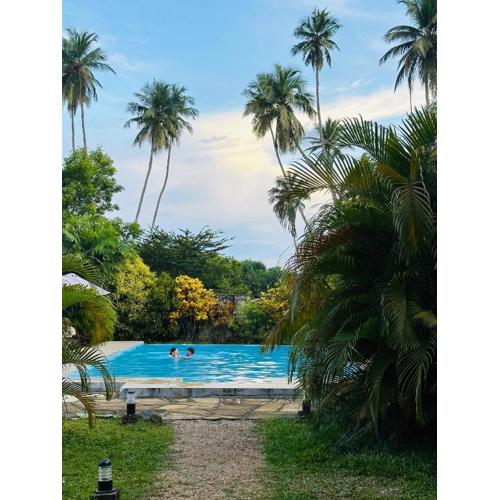 Green Parrot Beach Resort