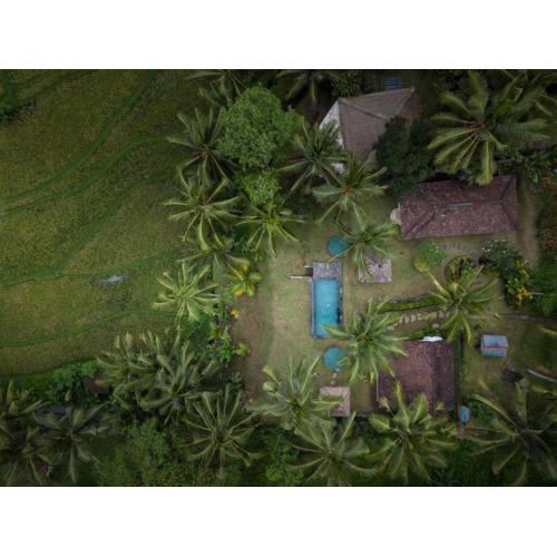 Green Sari Private Villa