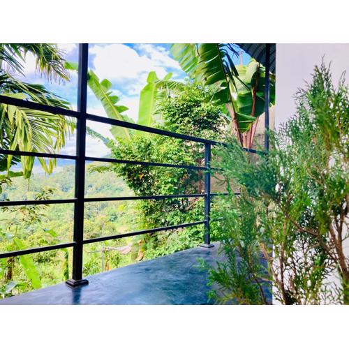 Green Shelter Ella FREE PICKUP