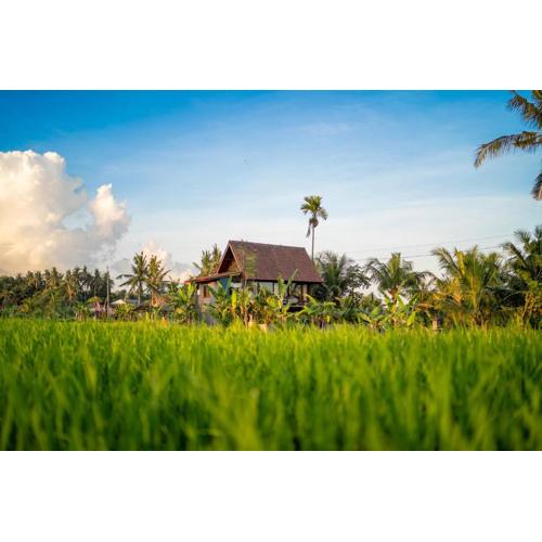 Green Swaha Mas Wooden Villa