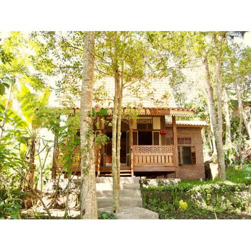 Green Vanilla Bungalow