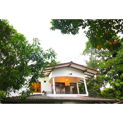 Green View Apartment