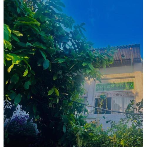 Green Villa