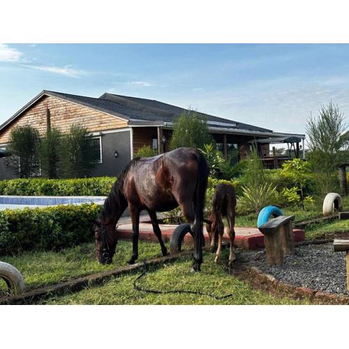 Greenleaf Farm Cottages