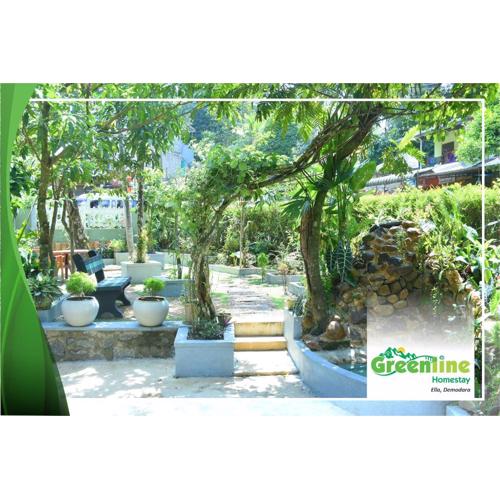 Greenline Homestay