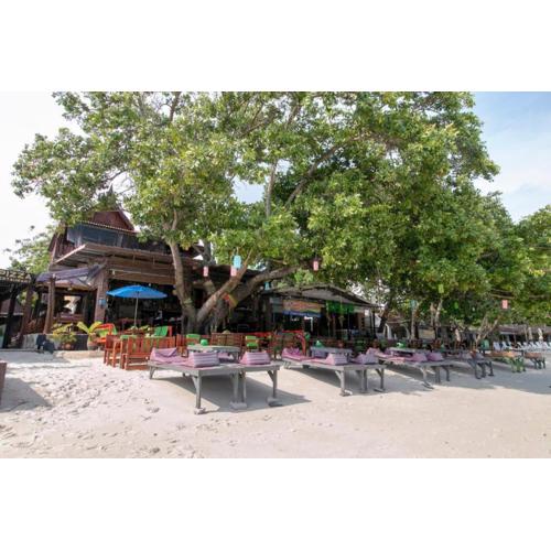 Greenplace-Samed Seahorse