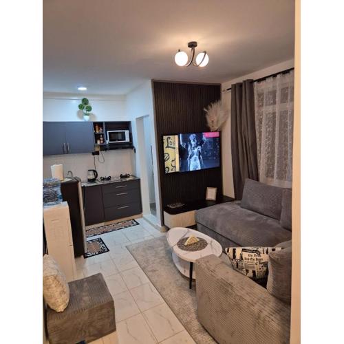 Greenzone apt, 1BR Kiambu Road