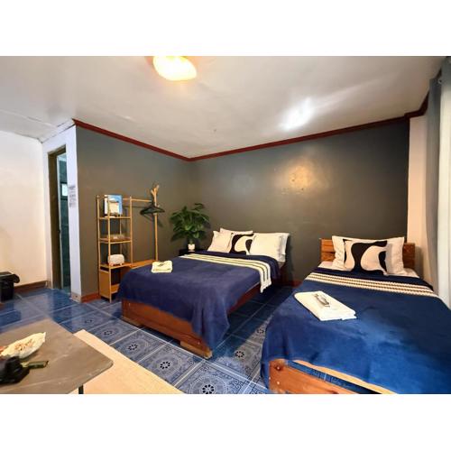 Grey Pad - Beachfront Property