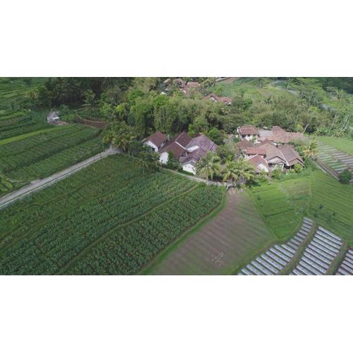 Griya Harja Homestay