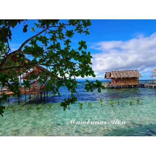 Guest Hause Lalosi Arborek Raja Ampat