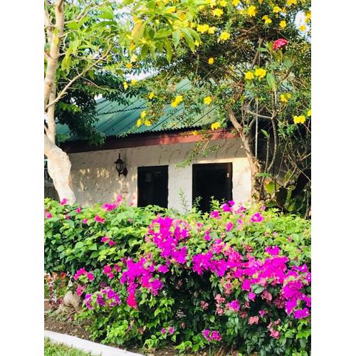 Guest House, shared pool, private bathroom and kitchen