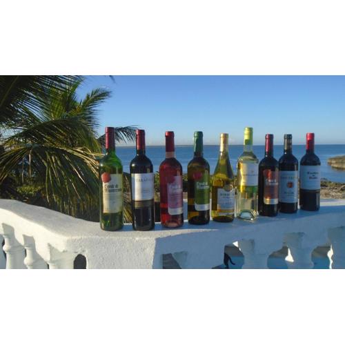 Guesthouse Villa La Isla