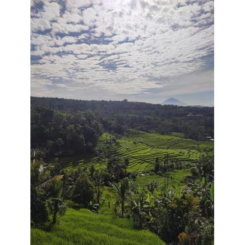 Gunza Bed and Breakfast