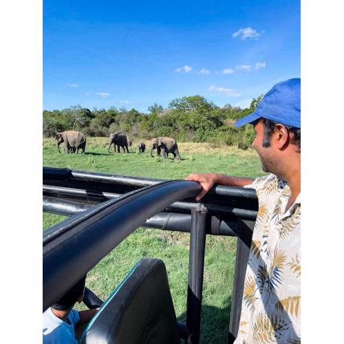 Habarana elephant safari &rooms