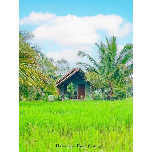Habarana Farm Cottage
