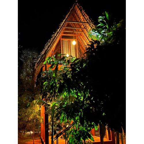 Habarana Tree House - Ivory cottage