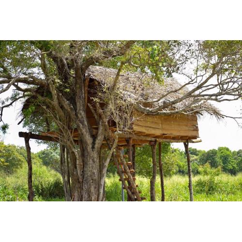 Habarana Tree House Area