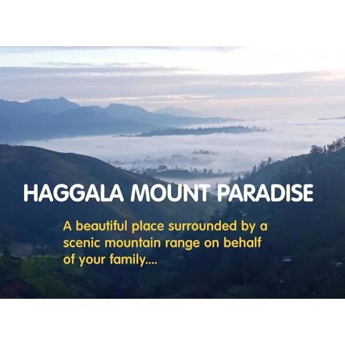 Hakgala Mount Paradise