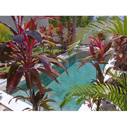 Hakuna Matata Bali Villas