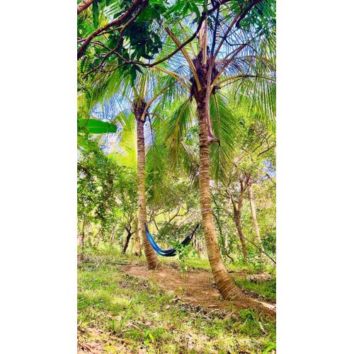 Hakuna Matata Hostel