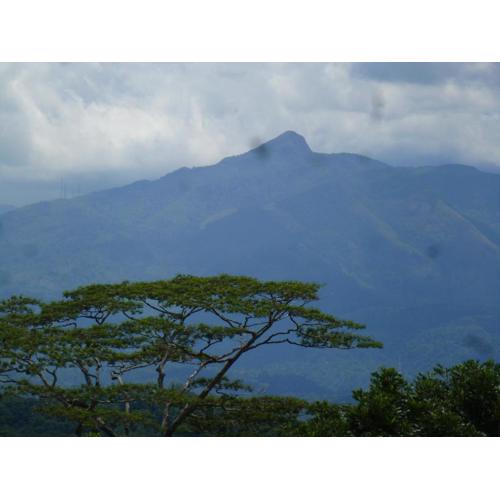 Hanthana Breeze Home Stay