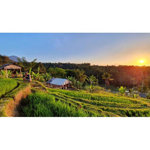 Hara Bali Eco Homestay