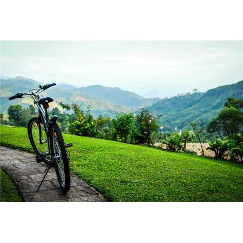 Hatale Tea Estate Bungalow