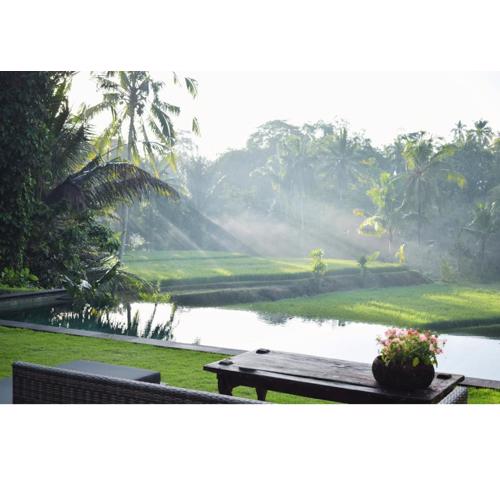 Hatiku Di Bali - Ubud