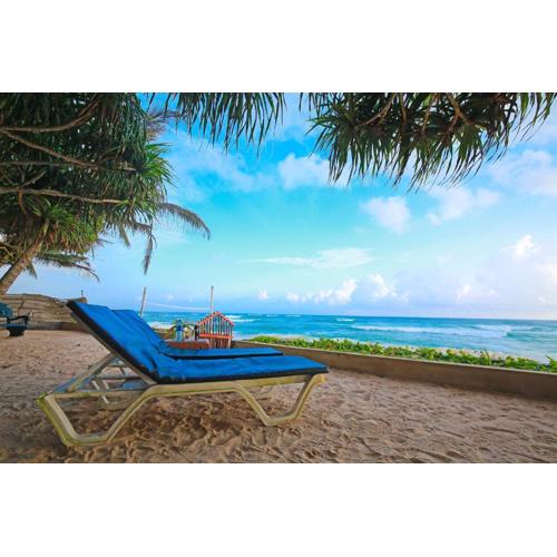 Haus am Meer "Wilde Ananas"