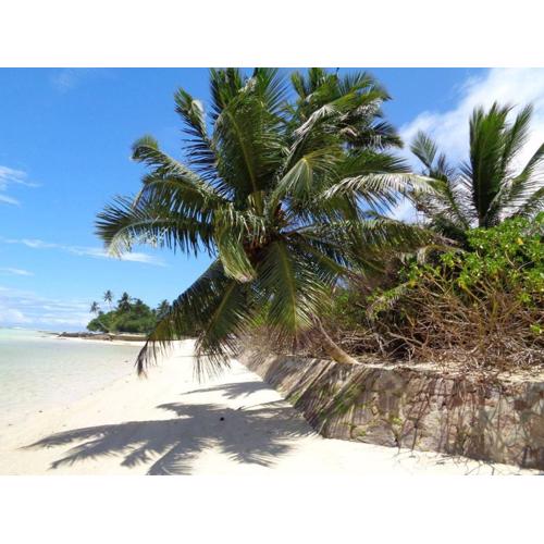 HCS Bungalows Turtle Bay Rustic Bungalow