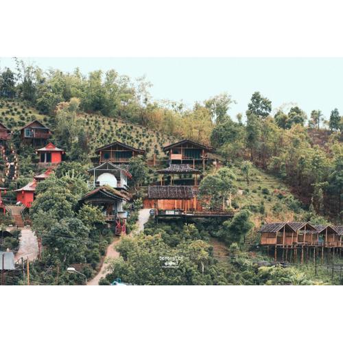 เห็ดเหลือง Hedreung banrakthai homestay and camping