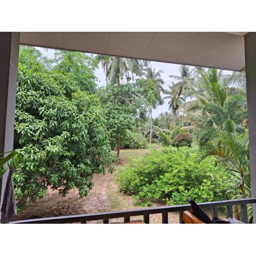 Hidden Gem in a Central Location