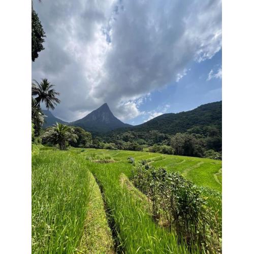 Hideout Rawana Meenure