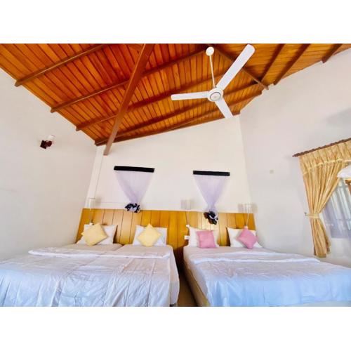 Hikka Paradise Guest House