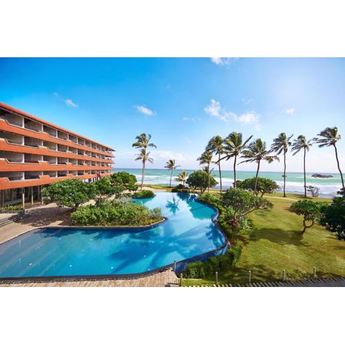 Hikka Tranz by Cinnamon